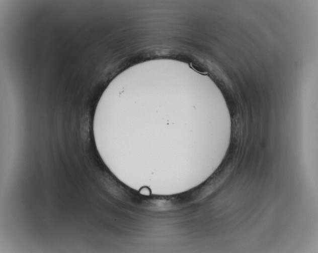 X0000115130509200911241448
