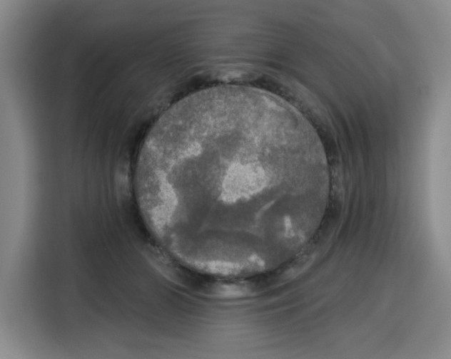 X0000115130510200911241448