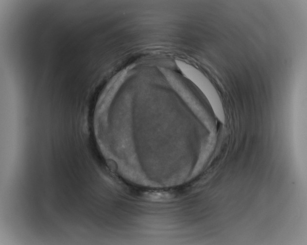 X0000115130512200911241448