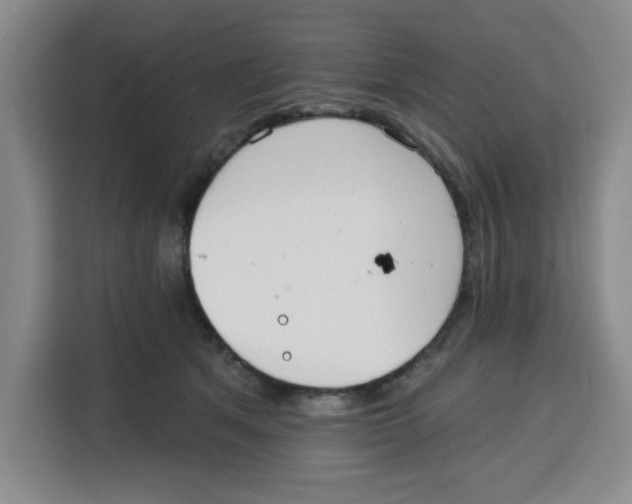 X0000115130513200911241448