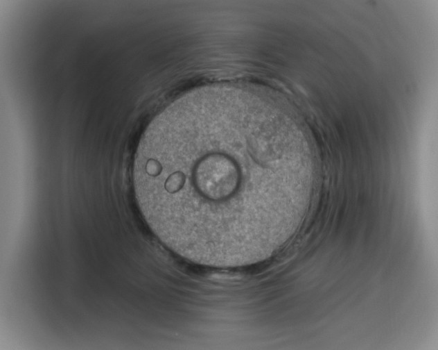 X0000115130515200911241448