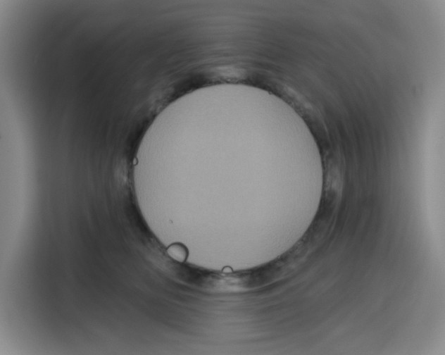X0000115130518200911241448