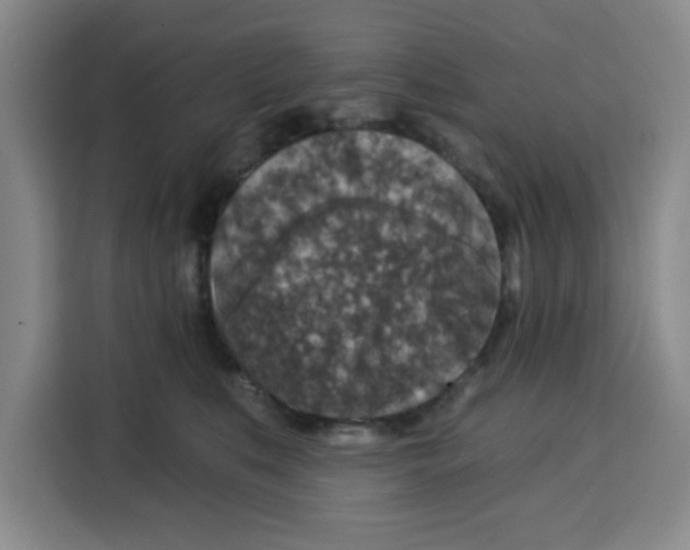 X0000115130519200911241448