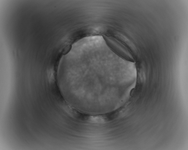 X0000115130520200911241448
