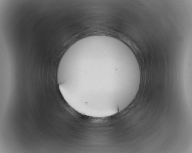 X0000115130521200911241448