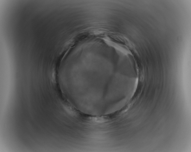 X0000115130524200911241448