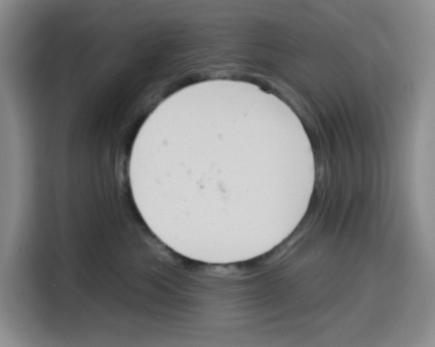 X0000115130525200911241448