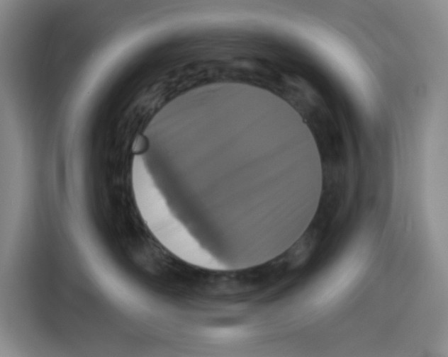 X0000115130526200911241448