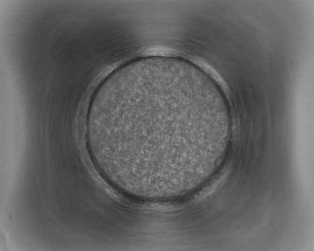 X0000115130529200911241447
