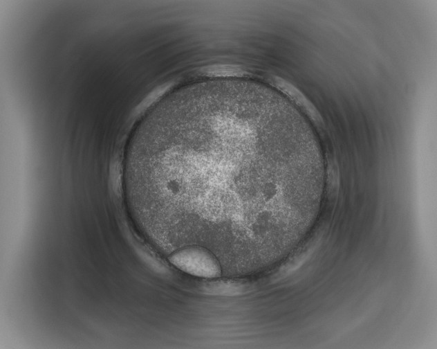 X0000115130533200911241447