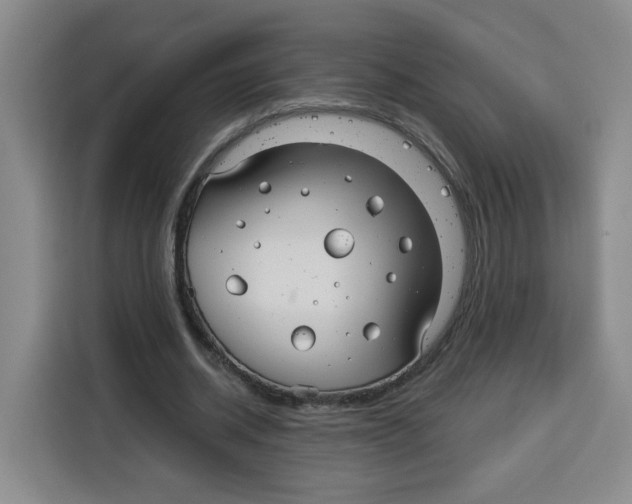 X0000115130534200911241447