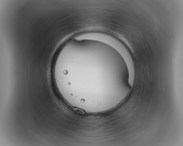 X0000115130535200911241447