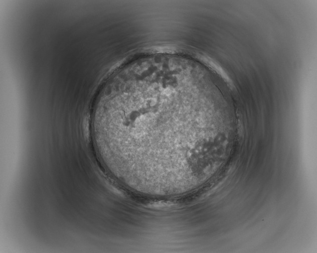 X0000115130537200911241447