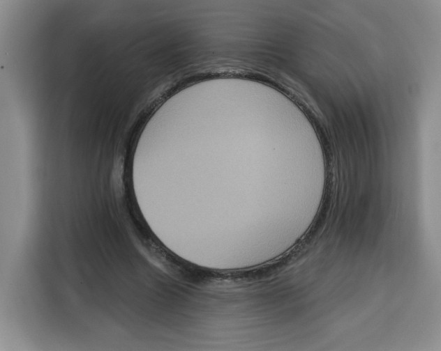 X0000115130538200911241448