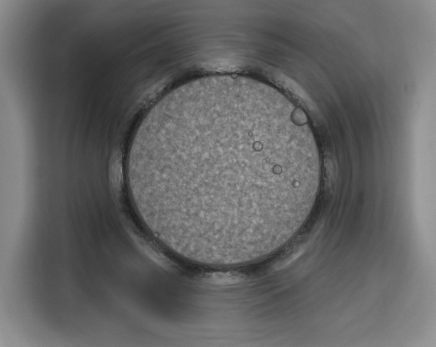 X0000115130541200911241448