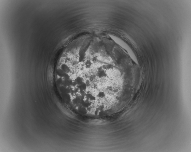 X0000115130542200911241448