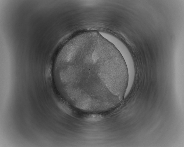 X0000115130543200911241448