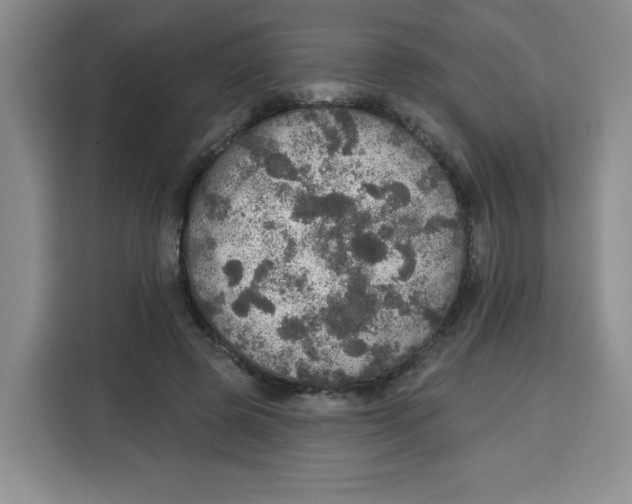 X0000115130545200911241448