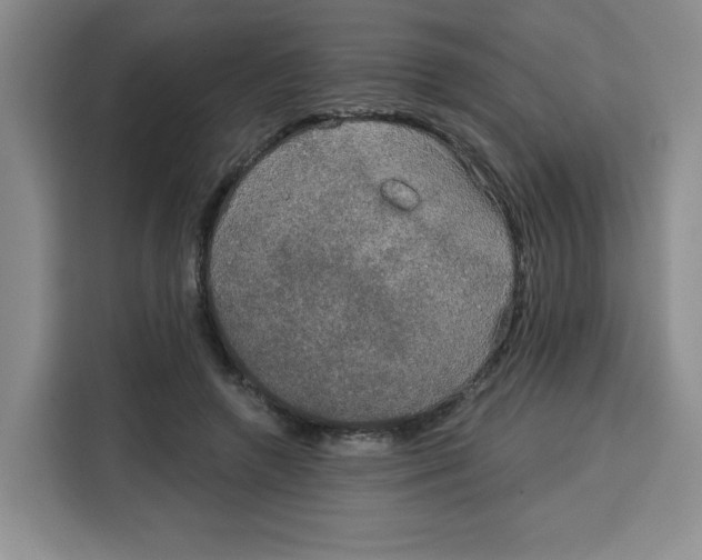 X0000115130546200911241448