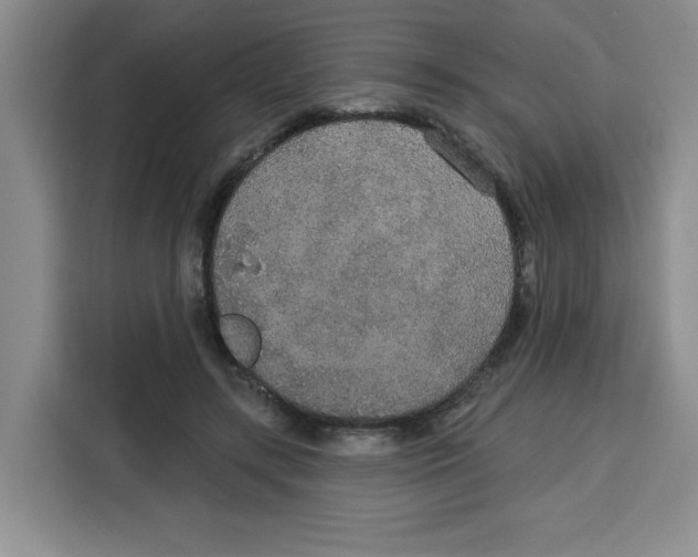 X0000115130547200911241448