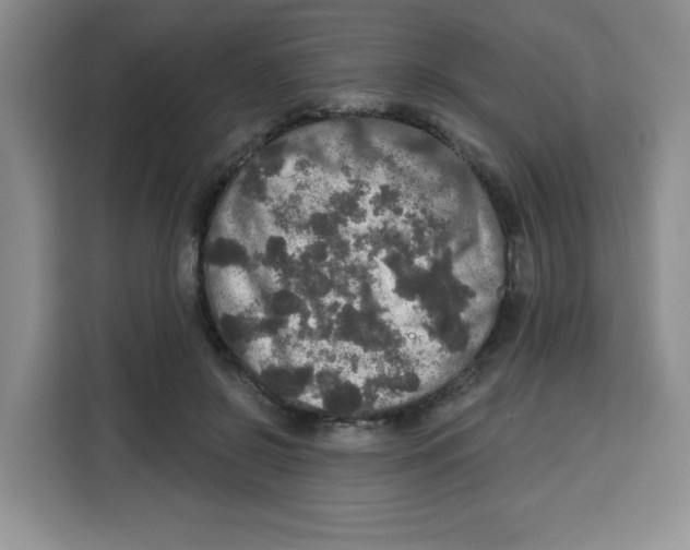 X0000115130550200911241448