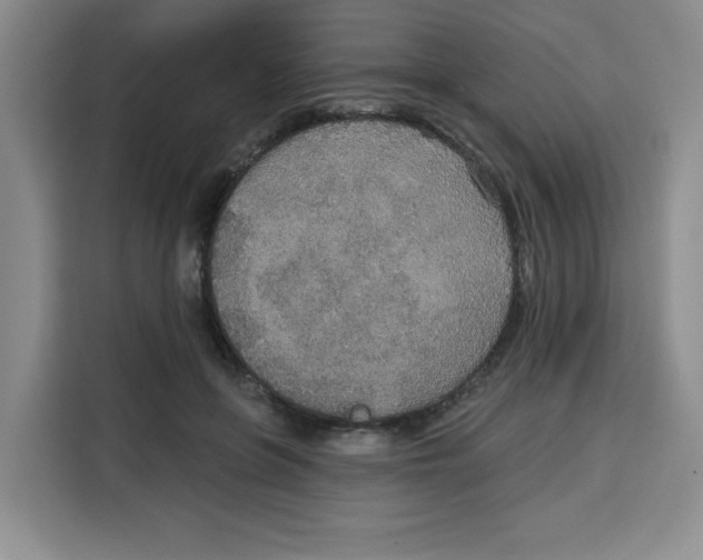 X0000115130551200911241448