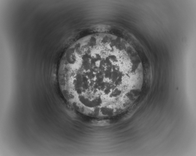 X0000115130553200911241448