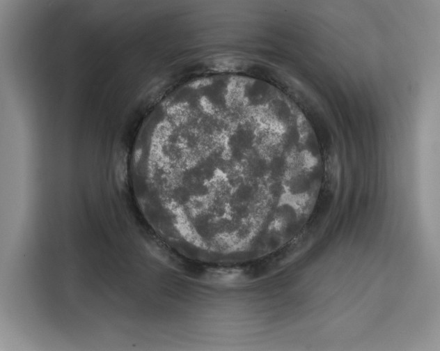 X0000115130554200911241448