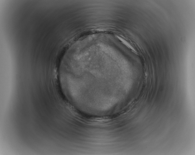 X0000115130555200911241448