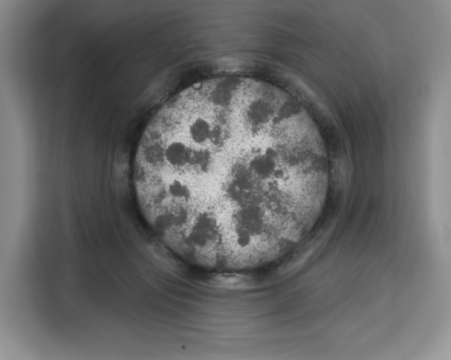 X0000115130557200911241448