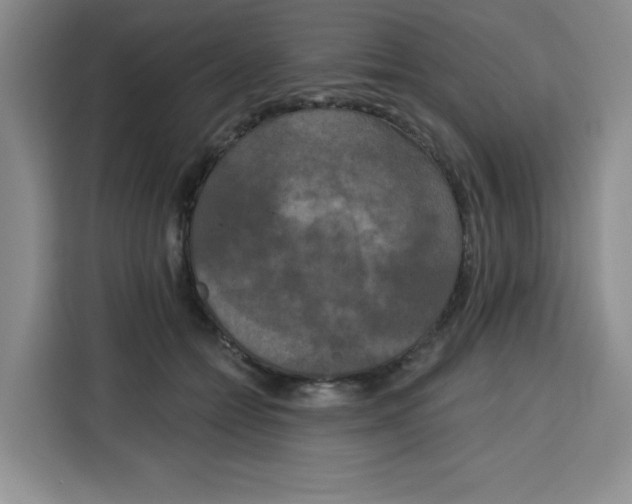 X0000115130558200911241448