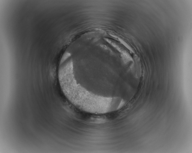 X0000115130559200911241448