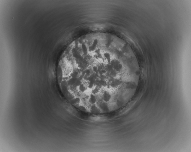 X0000115130561200911241448