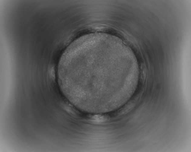 X0000115130562200911241448