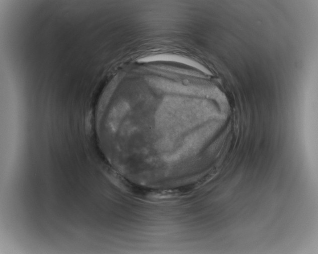 X0000115130563200911241448