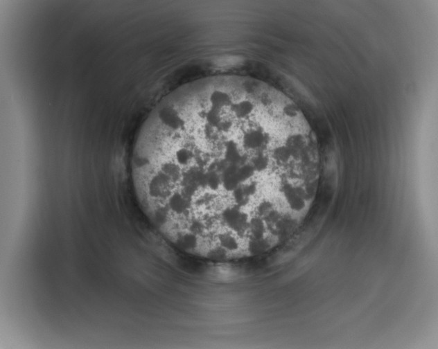 X0000115130565200911241448