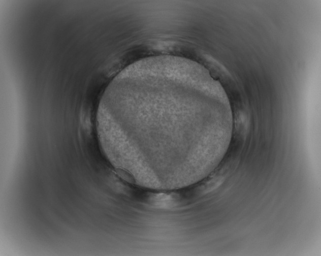 X0000115130566200911241448