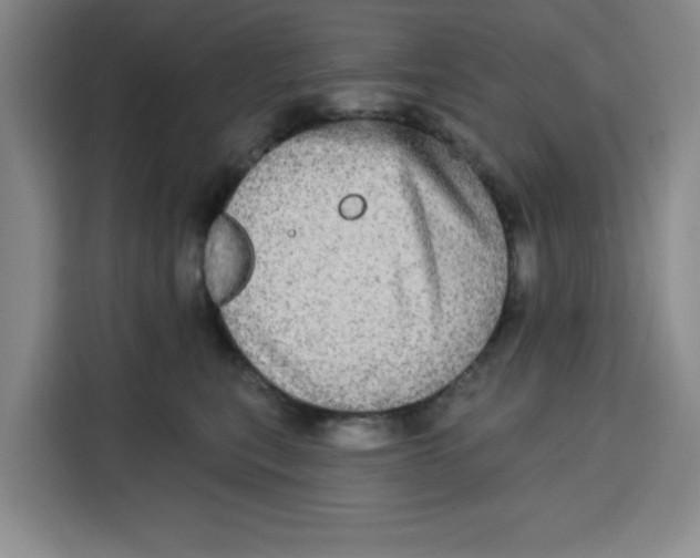X0000115130567200911241448
