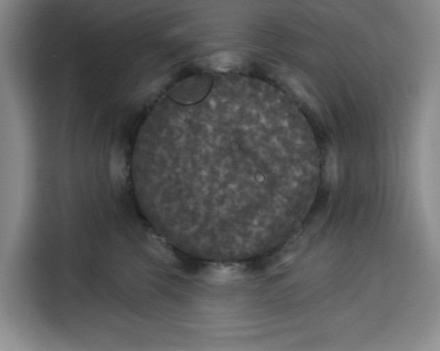 X0000115130569200911241448