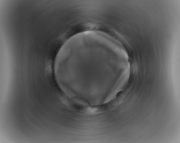 X0000115130570200911241448