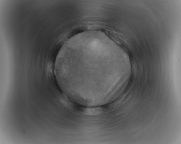 X0000115130571200911241448