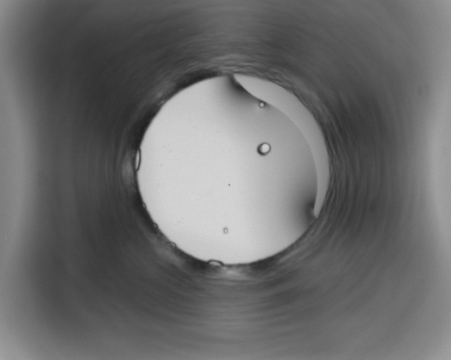 X0000115130573200911241448