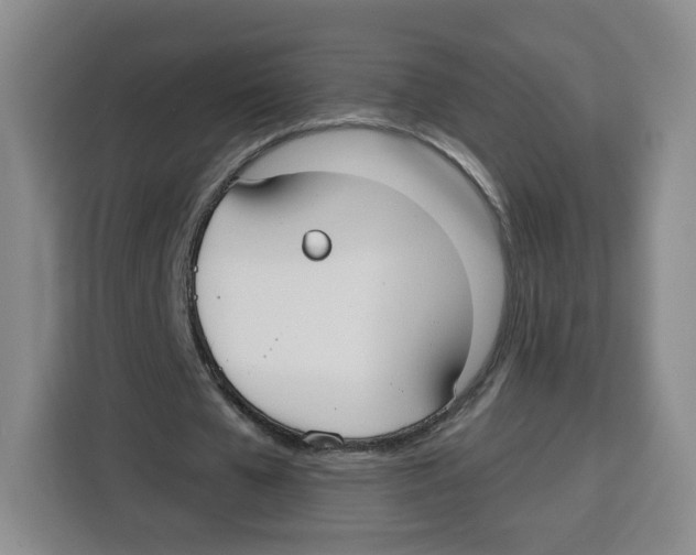 X0000115130577200911241447