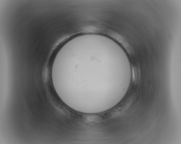 X0000115130579200911241447