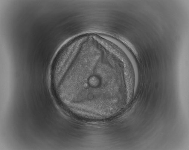 X0000115130580200911241447