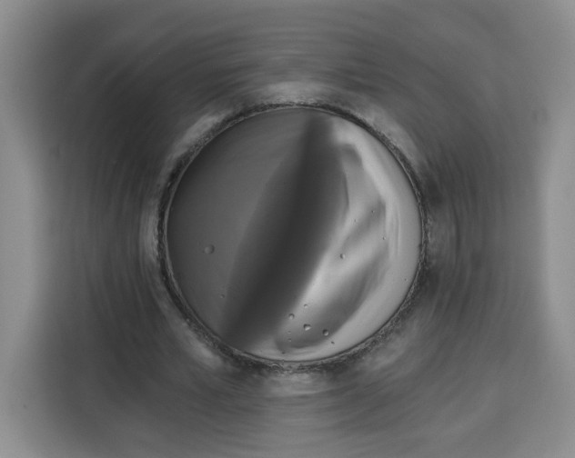 X0000115130581200911241447