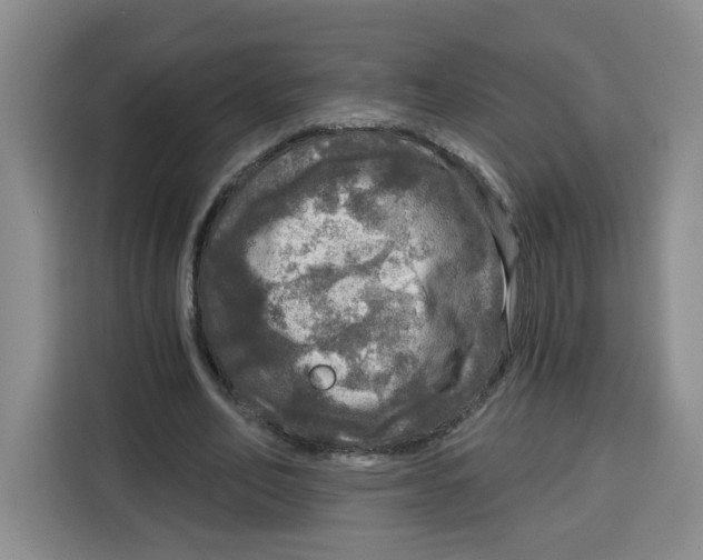 X0000115130582200911241447