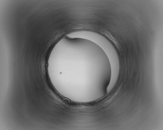 X0000115130585200911241447