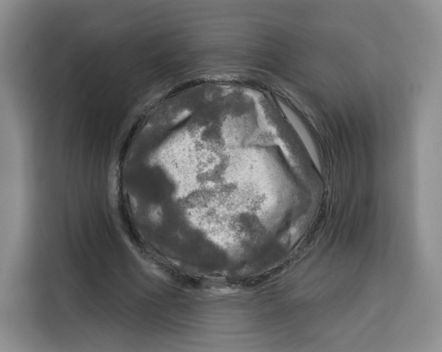 X0000115130586200911241447