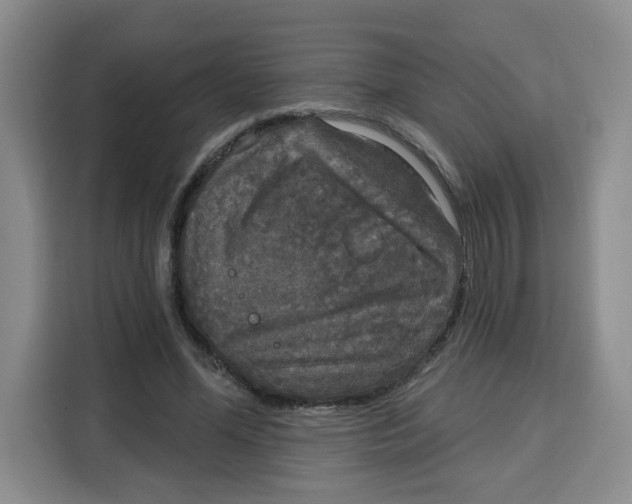X0000115130588200911241447
